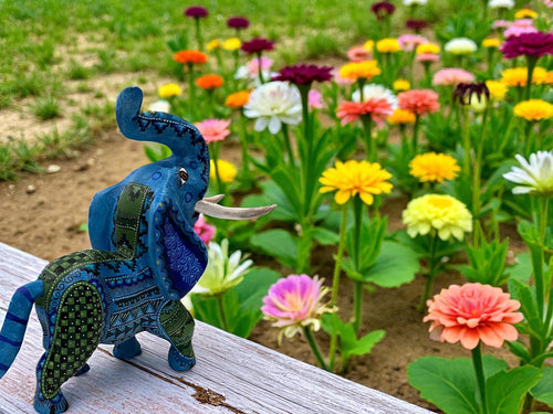 Wood elephant alebrije in garden, handcarved Oaxaca Mexican folk art